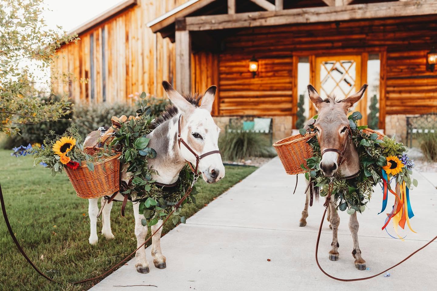Real Weddings at Diamond H3 Ranch, photo 34